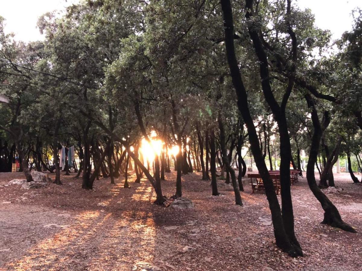 לושטיצה Villa Ariel מראה חיצוני תמונה